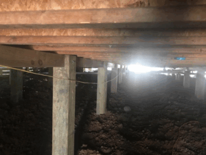 Pier and beam foundation repair with new wood support posts in Tyler TX