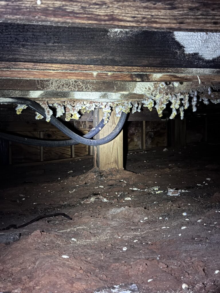 Foundation repair and crawlspace support work in Tyler, TX