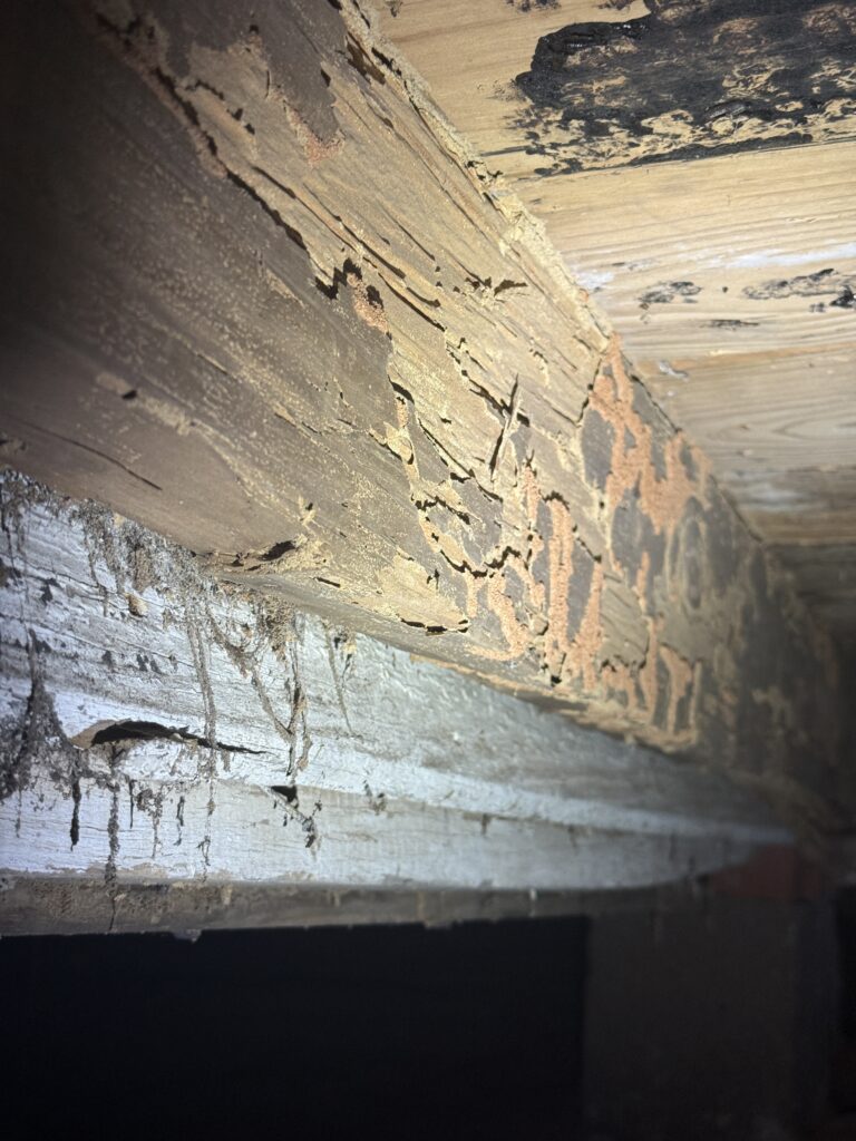 Foundation repair and crawlspace support work in Tyler, TX